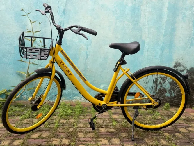 Bicicleta