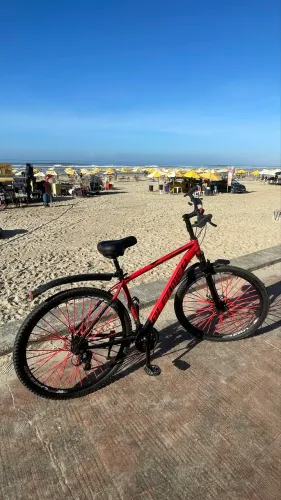 Aro 29 Alfameq