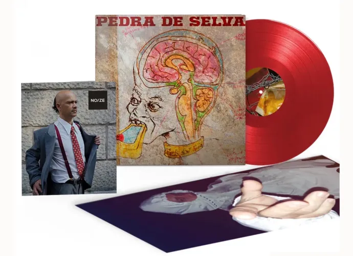 Vinil Curumin - pedra de selva