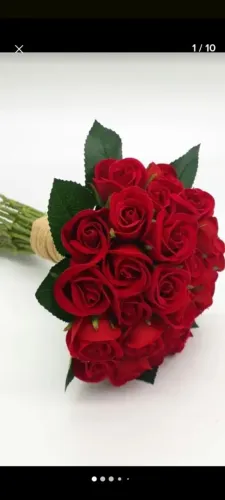 Rosas vermelhas Maravilhosas
