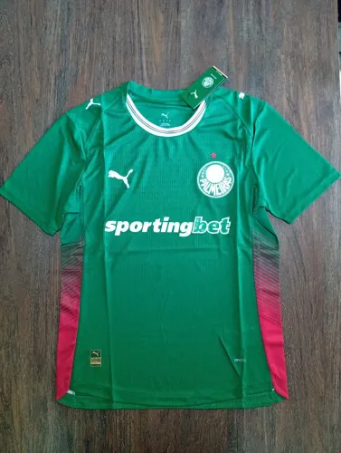 Camisa Palmeiras Nova Temporada Tamanho G Modelo Jogador