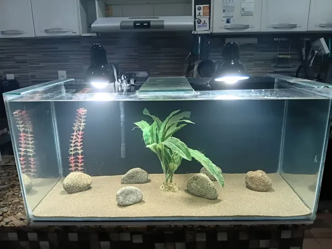 Vendo aquário de 144 litros completo