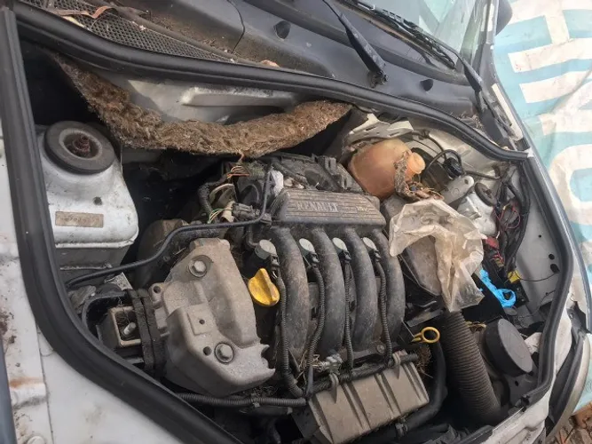 Motor Kangoo 2006