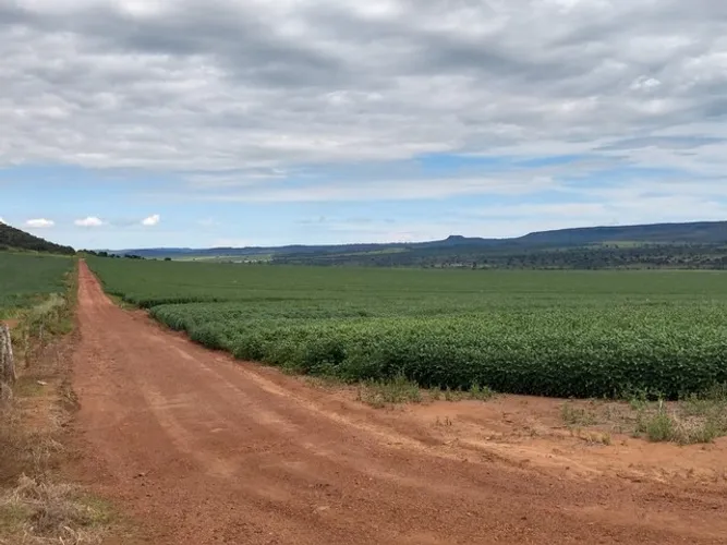 Fazenda de 405 alqueires em Caiapônia Go