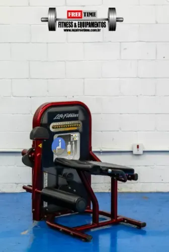 Cadeira extensora life fitness usado vermelho