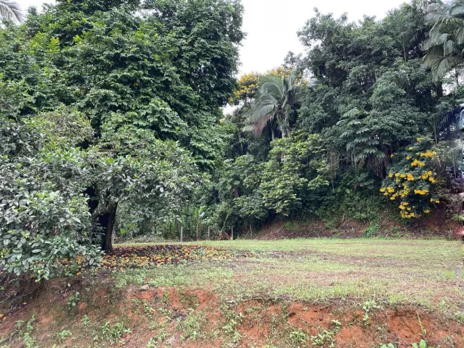 TERRENO no COSTA E SILVA com 0 quartos para VENDA, 1056 m²