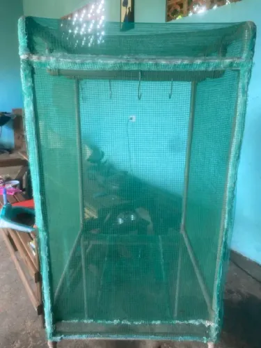 Secador de carne de sol