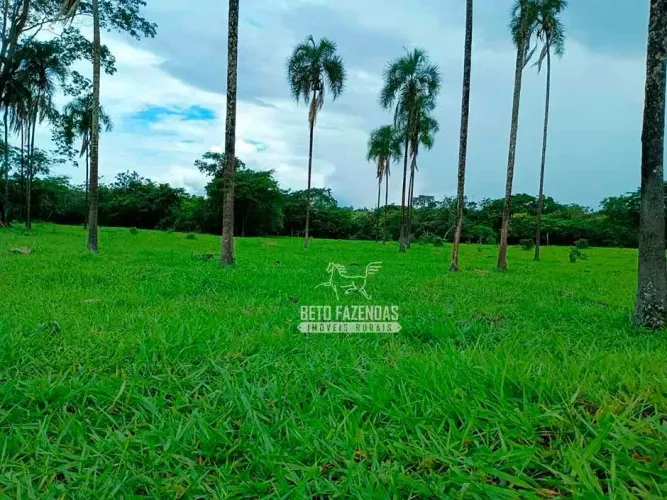 Imóvel para venda possui 3960000 metros quadrados em Zona Rural - Água Fria de Goiás - GO
