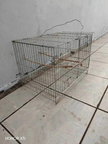 Gaiola de tamanho Bom!! 