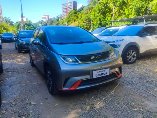 BYD Dolphin EV (Elétrico) 2024