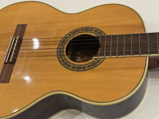 Violão Tagima Canada Series Ottawa Non Cutaway
