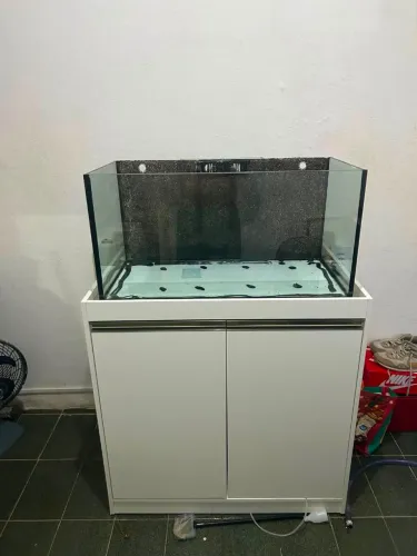 Aquario 80 x 40 x 40 + Móvel paraju