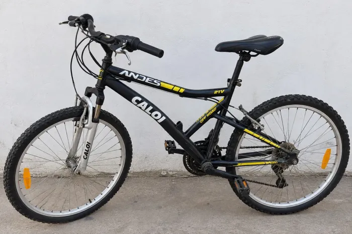 Bicicleta Caloi Andes Off Road Aro 26 ? 21 Marchas