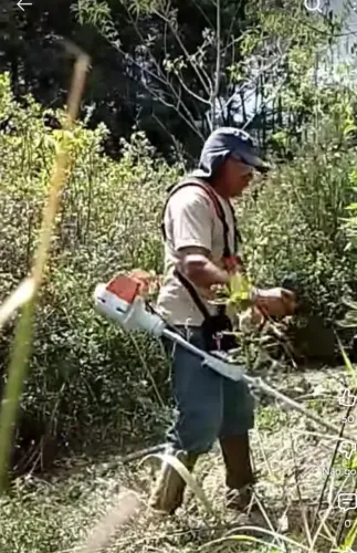 Faço serviço de jardinagem e capina 