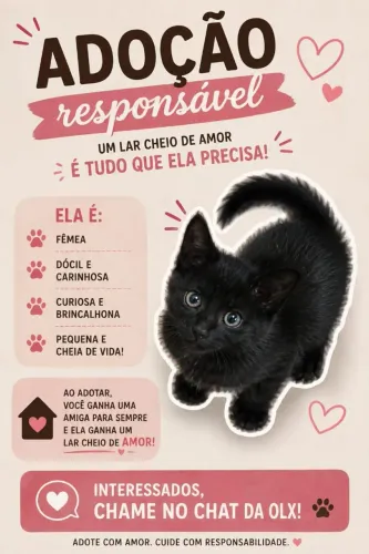 Doação de gata fêmea