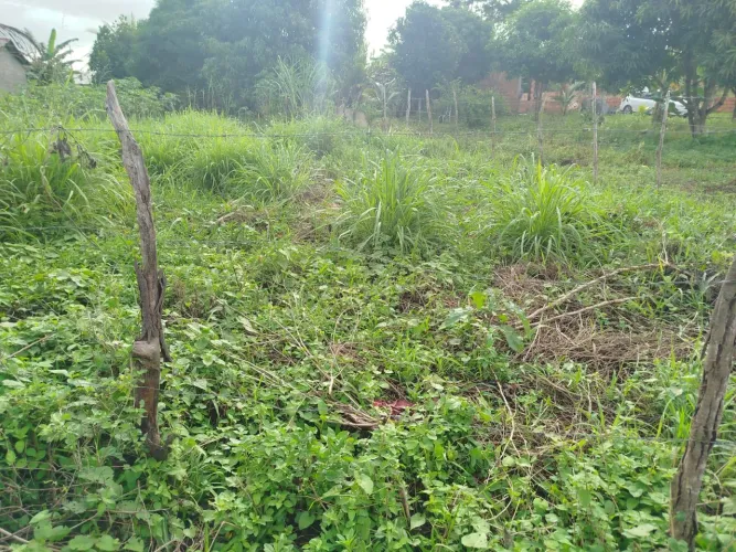 Vendo terreno em Itaporanga