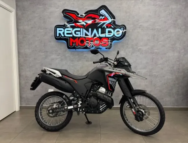 LANDER 250 CONNECTED - 2025 - CINZA