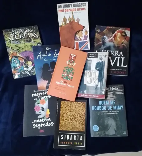 Lote de Livros (Promoção)
