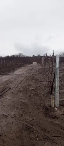 Terreno em gravata.