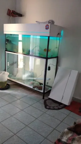 Aquário, aquaterrario, terrário,