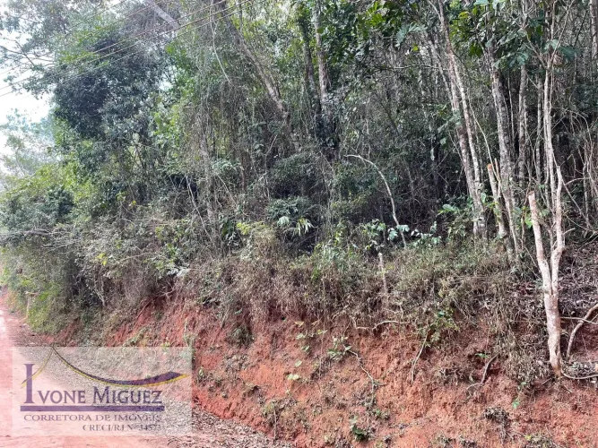 Terreno em Palmares - Paty do Alferes, RJ