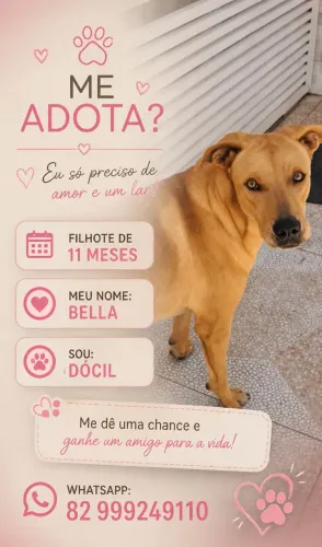 Adoção cachorro filhote