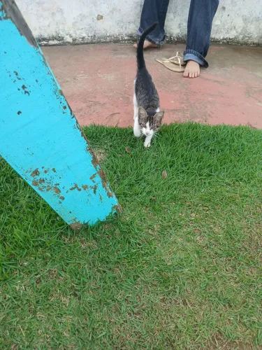 Ele passa fome