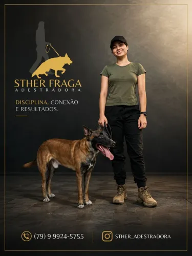Adestramento de cães