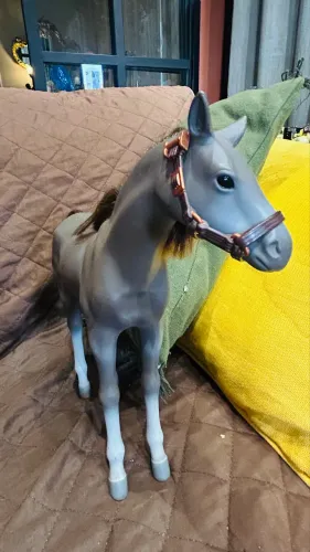 Cavalo pequeno our Generation