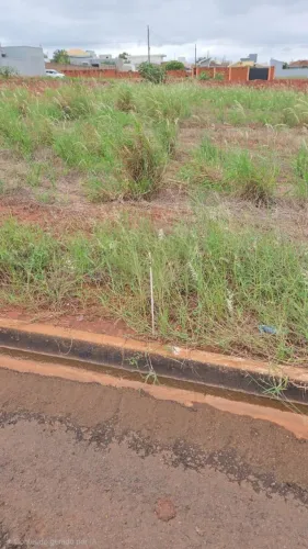 Terreno amplo e bem localizado. Pronto para construir.