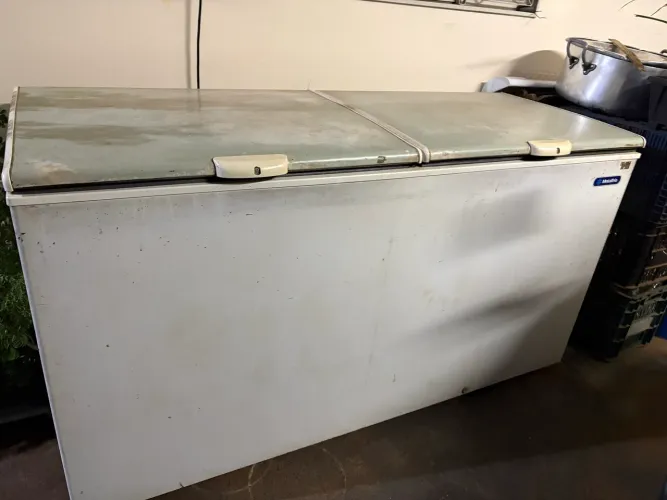 Freezer horizontal