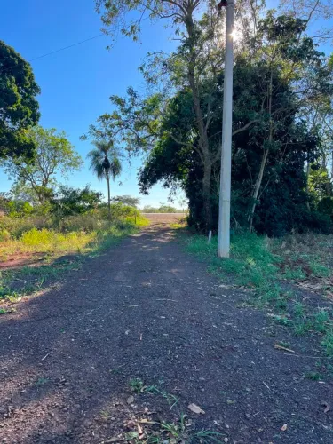 CHÁCARA 1 hectare ou 10,000 M2 à 20km de Dourados