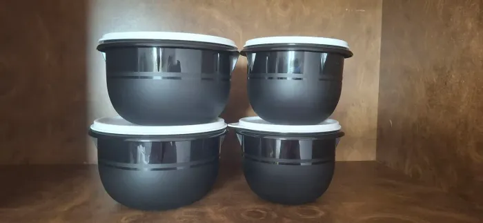 Conjunto TuperWare