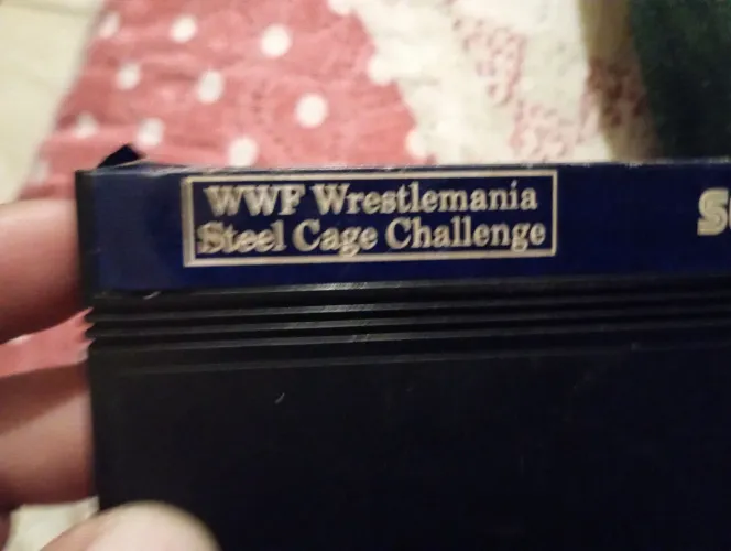wwf wrestlemania master system 