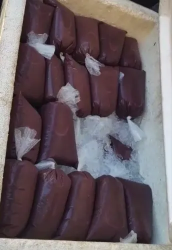 Açaí Puro e Raiz da Amazônia