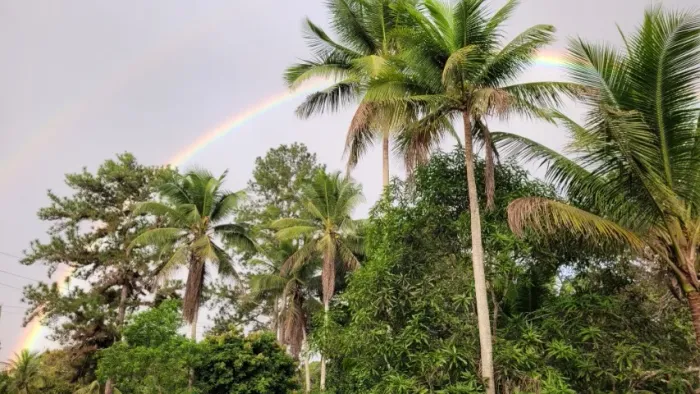 Vendo lote em Mata de São João, Água Fria, zona rural