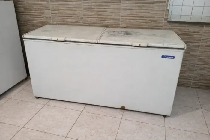 Freezer Industrial
