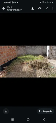 Serviço de capinagem deixando o sempre o ambiente limpo e agradável.