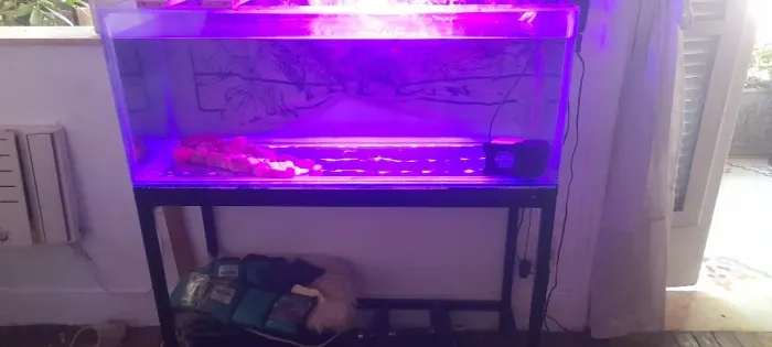 Aquario 160 litros