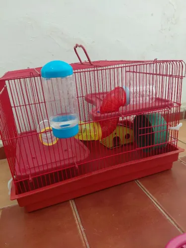 GAIOLA DE RATO, GERBIL, HAMSTER 