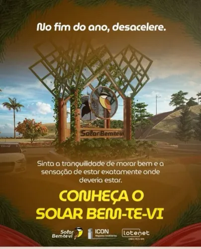Lote solar bem te vi