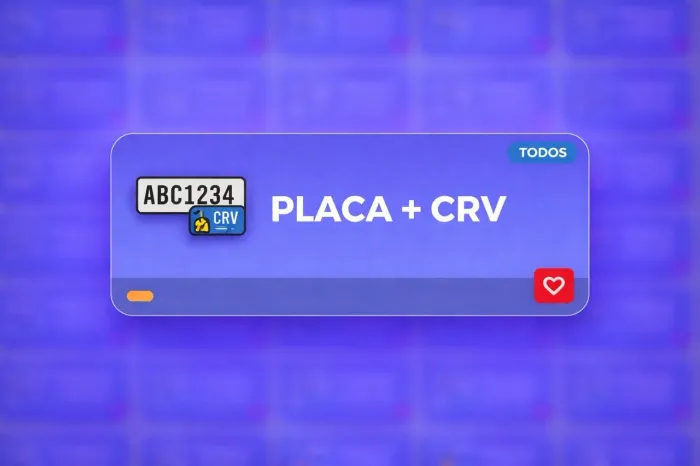 Puxo dados placa cpf nome completo telefone