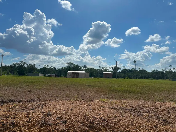 9 mil nova Benevides sentido saída br 316