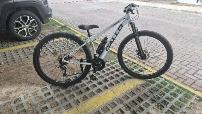 Bicicleta Gallo aro 29 seminova