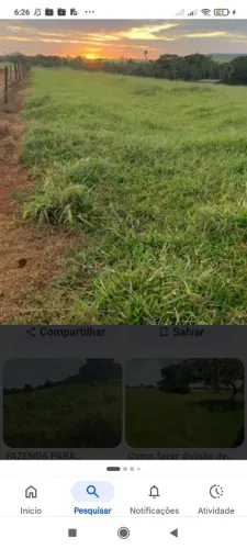 Chácara de 4 hectares e meia 