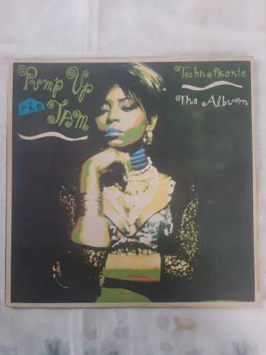 Disco vinil pump up The Tam