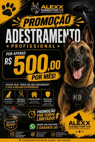 Adestramento