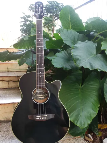 Violão Steinberg flat super fino