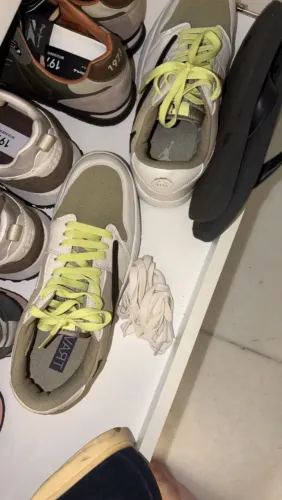 Tenis