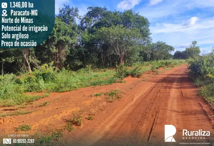 FAZENDA À VENDA REGIÃO DE PARACATU/MG | OPORTUNIDADE DE NEGÓCIO